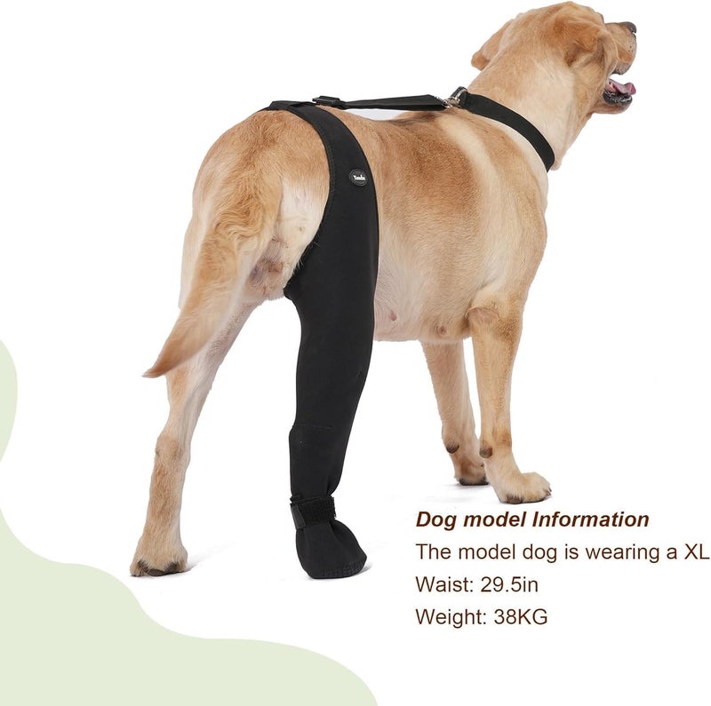 Yoneba Dog Socks to Prevent Licking Paws ，Breathable Leg Sleeve to Stop Licking and Biting， Firm and Secure Adjustable Size Dog Recovery Sleeve Socks (XL-Left) - Image 2